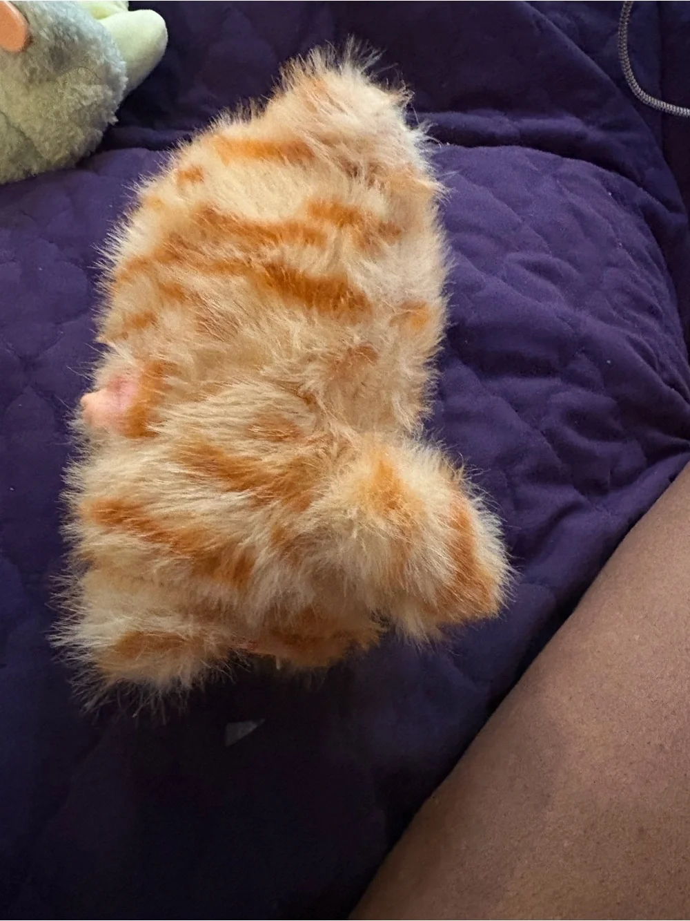 Fluffy Orange & White Small Pet Plush Toy with Cute Character Face